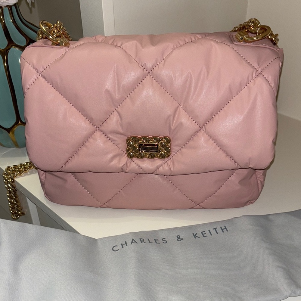 Charles & Keith Pink Quilted Chain Bag - Picture 14 of 14